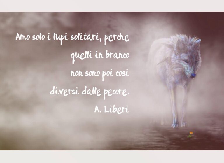Amo solo i lupi solitari