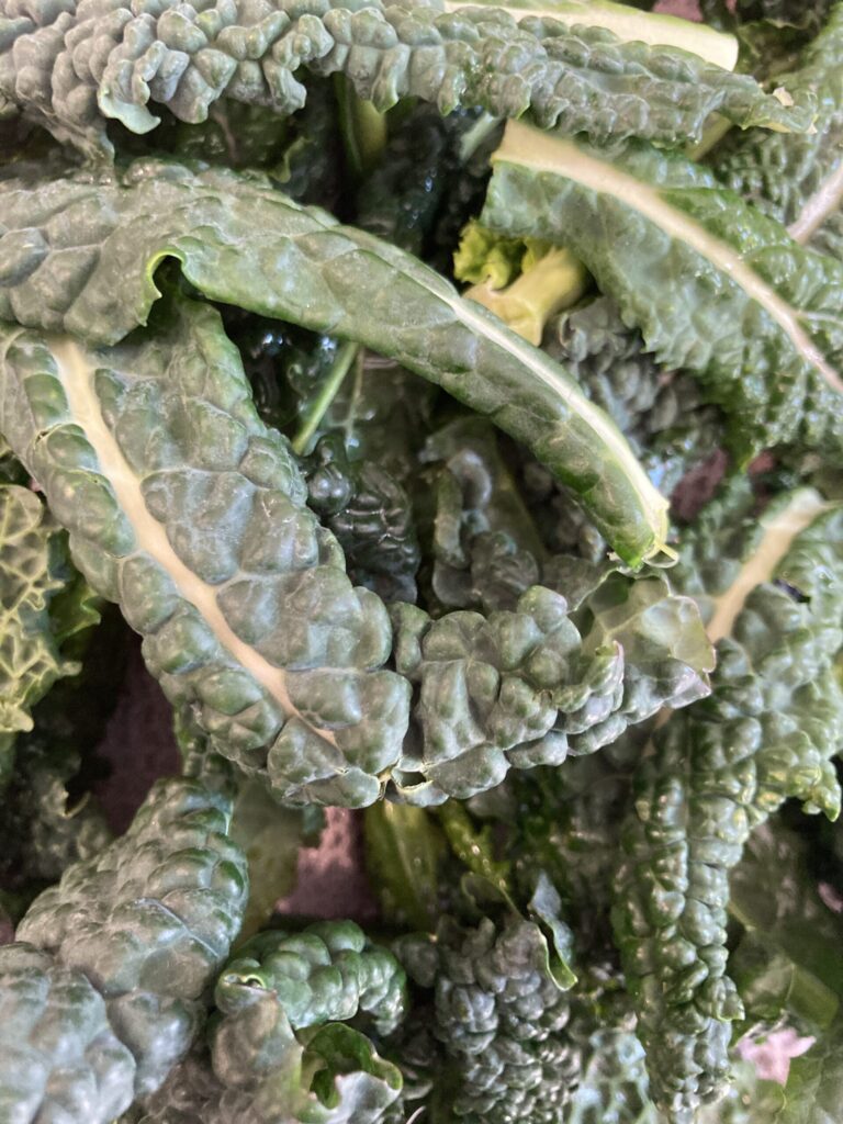 Pesto di Cavolo Nero