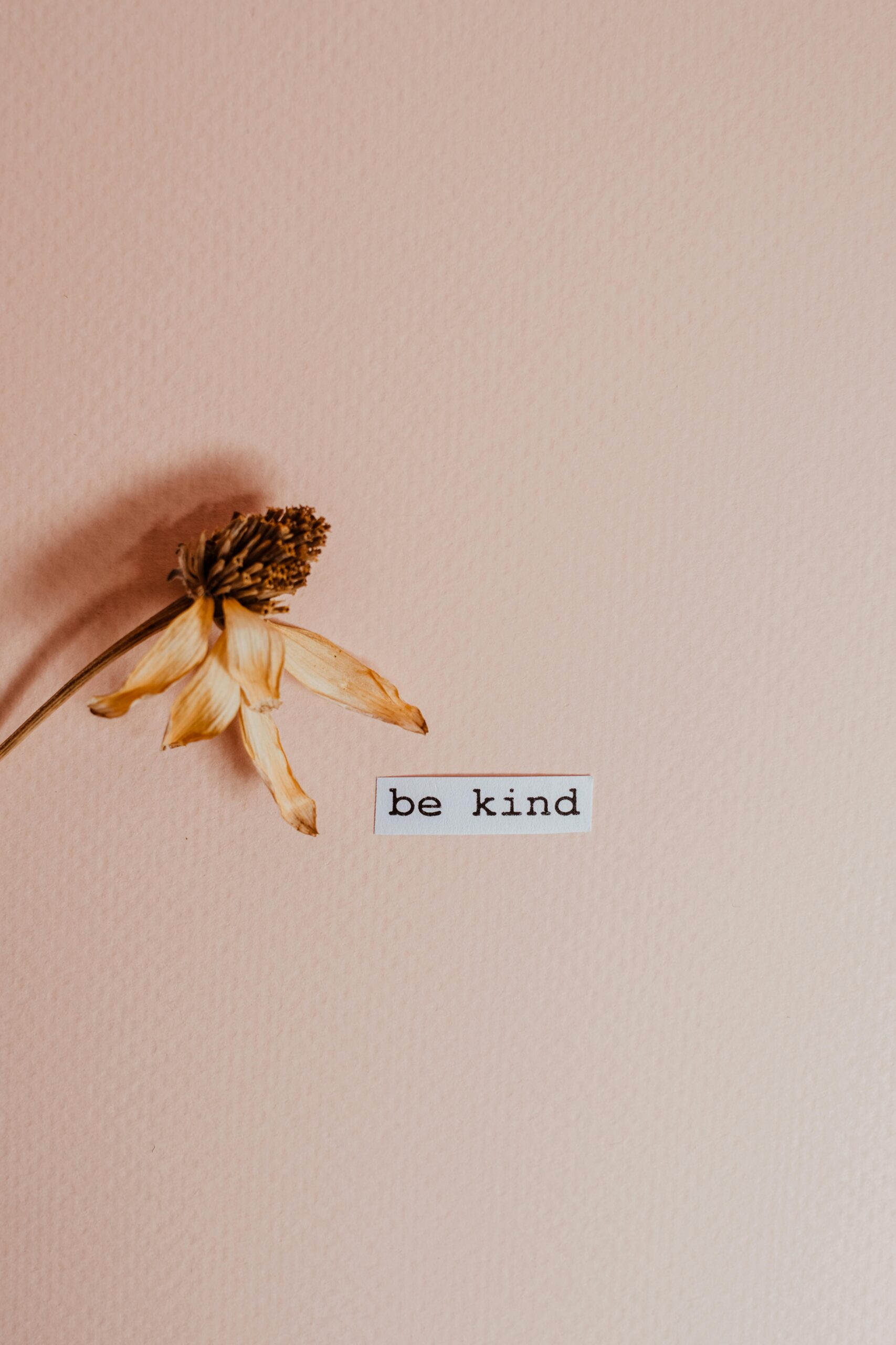 Be Kind